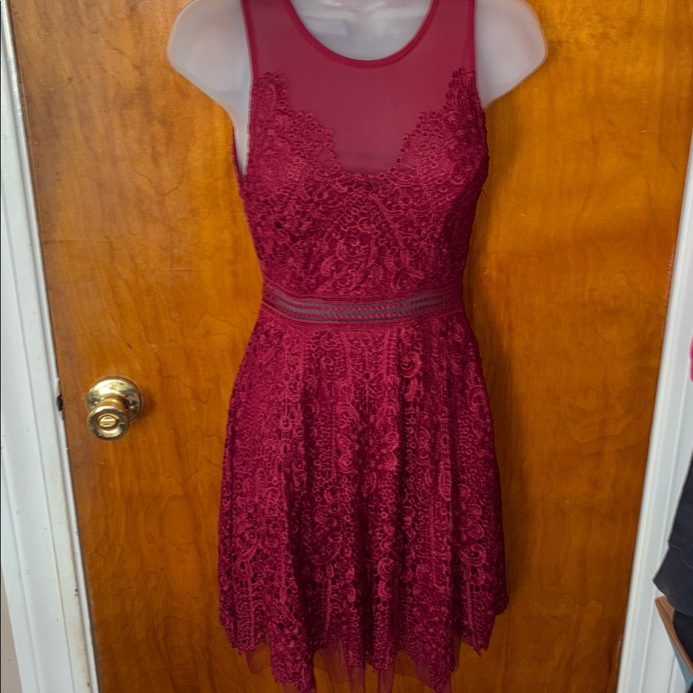 Francesca's Collections Burgundy Lace Dress